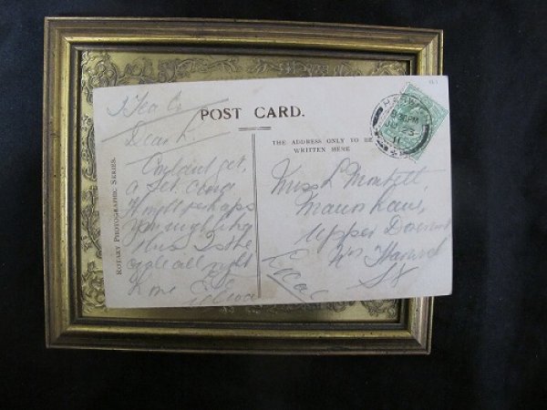 画像3: Postcard ライオン 1911年 (3)