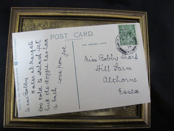 画像3: Postcard  お風呂に入る犬 1914年 (3)