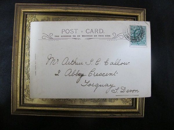 画像3: Postcard   スピッツ犬 1903年 (3)