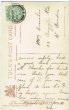 画像2: Postcard 　イングリッシュブルドッグ犬　1907年 (2)