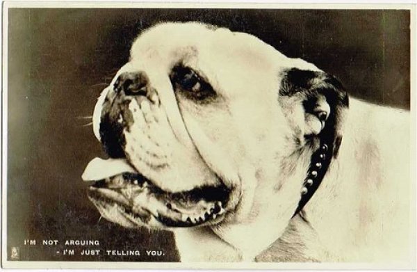 画像1: Postcard 　イングリッシュブルドッグ犬　1910年頃　未使用 (1)