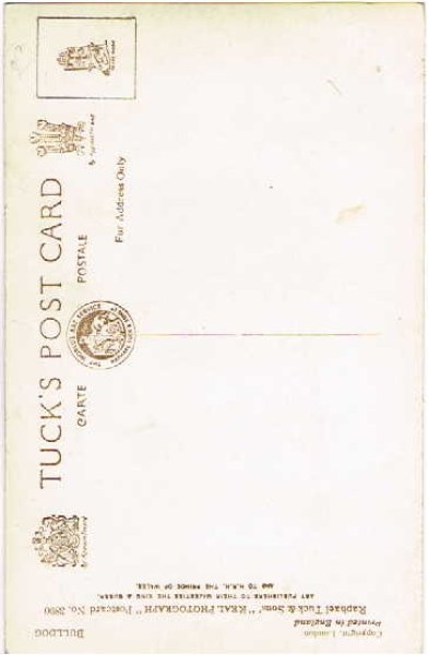 画像2: Postcard  イングリッシュブルドッグ犬 1910年頃 未使用 (2)