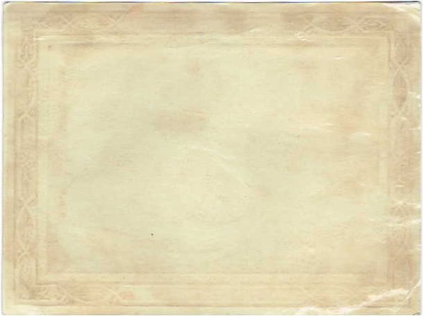 画像2: Greeting Card  2匹のキング・チャールズ・スパニエル犬 (2)