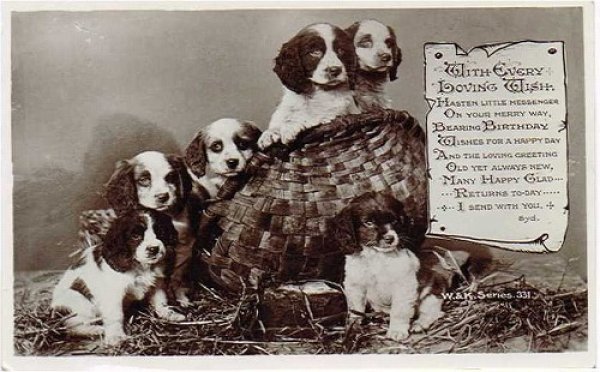 画像1: スパニエル犬の子犬たち　1923年 (1)