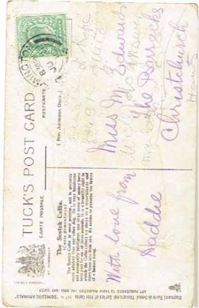 画像2: Postcard  コリー犬 1910年 (2)