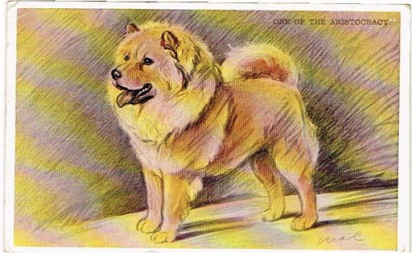 画像1: Postcard 　チャウチャウ　犬　1940年 (1)