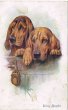 画像1: Postcard 　ケリー・ビーグル犬　1921年 (1)