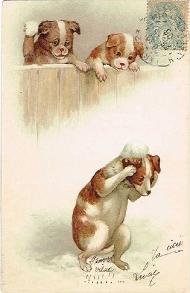 画像1: Postcard 　雪を投げつける犬たち　Helena Maguire？　フランス1906年 (1)
