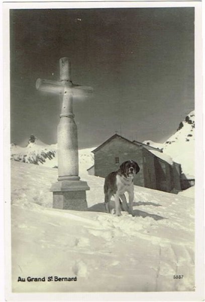 画像1: スイス　雪山のセントバーナード犬 1910年代頃　未使用 (1)