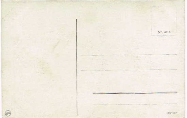 画像2: セントバーナード犬と黒いプードル犬 未使用1910年頃 (2)