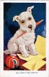 画像1: Postcard 　ウエスティ犬　どうして手紙くれないの？1933年 (1)