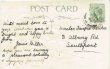画像2: Postcard 　イースター　卵車でヒヨコを運ぶ少年　1907年　Clapsaddle (2)