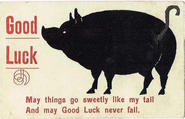 画像1: Postcard 　幸せをもたらす黒い豚さん　1910年代 (1)