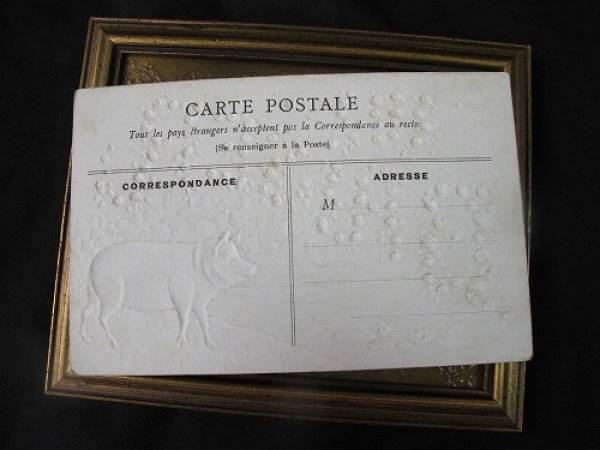 画像3: Postcard  水辺の豚さん 1905年頃 未使用 (3)