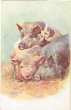 画像1: Postcard 　3匹の豚さん　1905年頃　未使用 (1)
