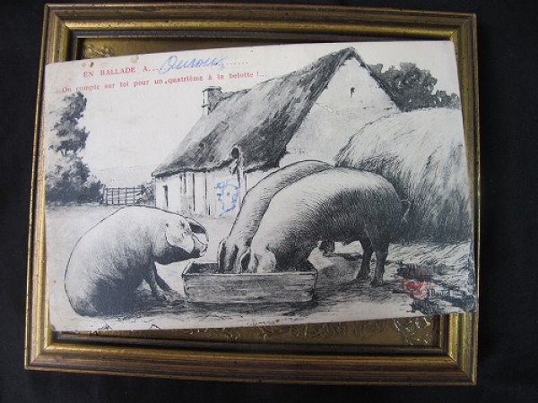 画像2: Postcard  お食事中の豚さん 1932年 (2)