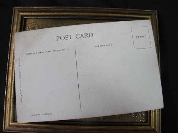 画像3: Postcard  豚さんの家族 1910年代頃 未使用 (3)