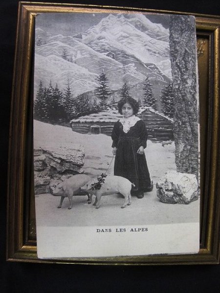 画像2: Postcard  アルプスの女の子と子豚 1910年代頃 未使用 (2)