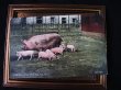 画像2: Postcard 　豚さんの家族　1910年代頃　未使用 (2)