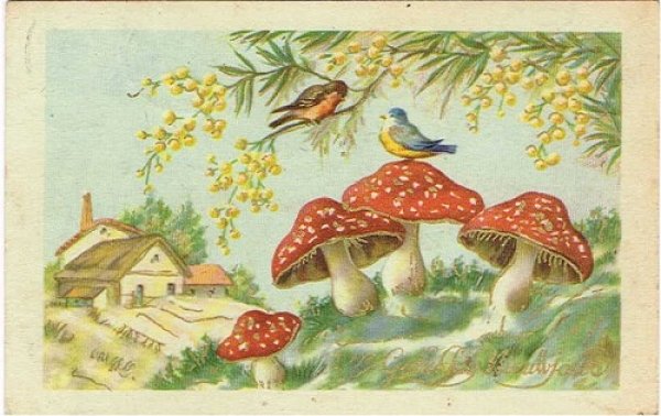 画像1: Postcard 　キノコと小鳥　1930年代頃 (1)