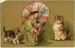 画像1: Postcard 　東洋の子供と猫　Helena Maguire　 (1)