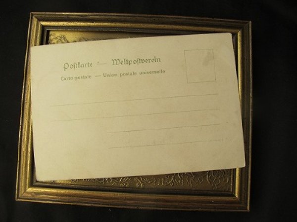 画像3: Postcard  遊ぶ子猫 Helena Maguire 未使用 (3)