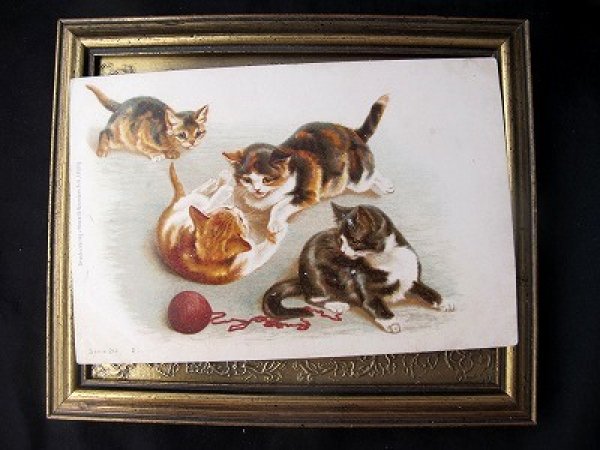 画像2: Postcard  遊ぶ子猫 Helena Maguire 未使用 (2)