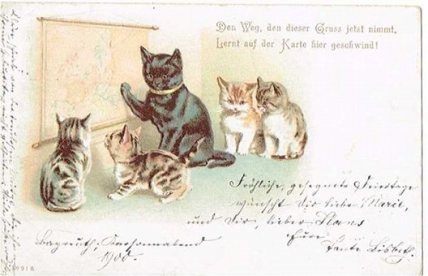 画像1: Postcard 　地理の時間　猫の学校　Helena Maguire　1900年 (1)