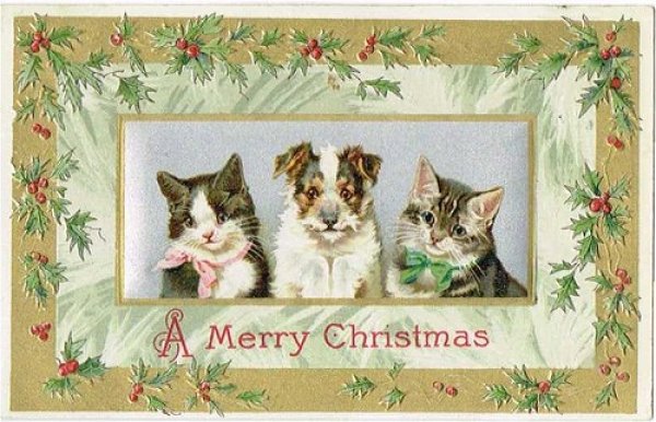 画像1: Postcard 　クリスマス　犬と猫　Helena Maguire　1910年頃 (1)