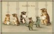 画像1: Postcard 　猫の朝食の時間　ブレックファーストタイム　Helena Maguire　 (1)