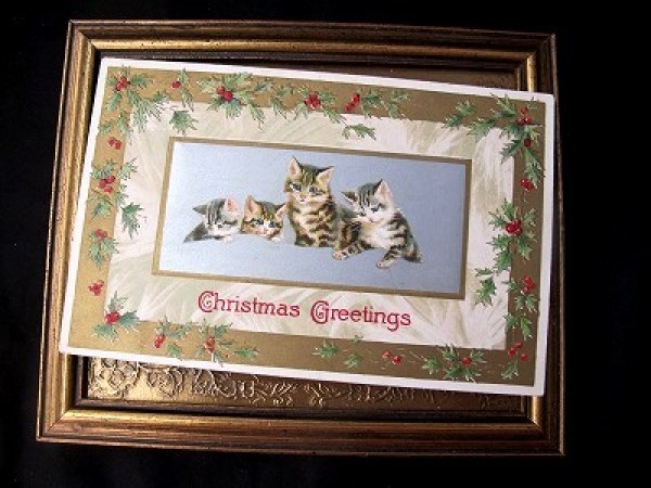 画像2: Postcard  クリスマス 4匹の猫 Helena Maguire 1912年 (2)