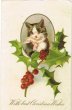 画像1: Postcard 　クリスマス　ハチワレ猫　Helena Maguire　1910年頃 (1)