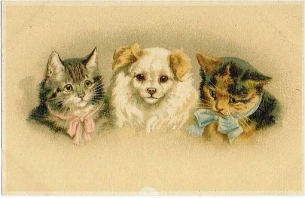 画像1: Postcard 　猫と犬　Helena Maguire　未使用 (1)