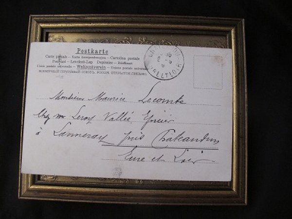 画像3: Postcard  ジャックラッセルテリア犬 Helena Maguire  (3)