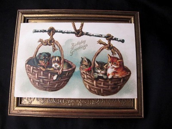 画像2: Postcard  天秤の中の犬と猫 Helena Maguire 未使用 (2)