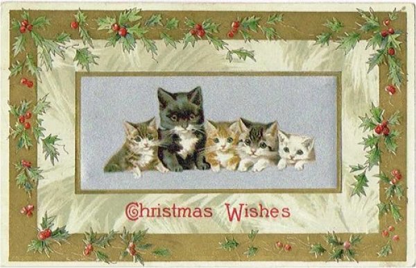 画像1: Postcard 　クリスマス　5匹の猫　Helena Maguire　1910年頃 (1)