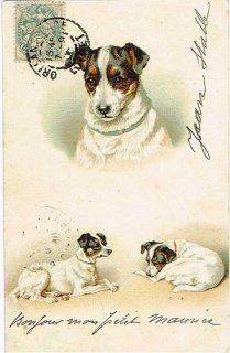 Snowdrop Postcards アンティークポストカード専門店