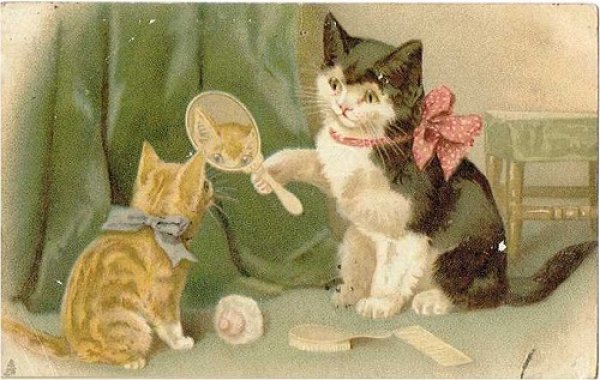 画像1: Postcard 　手鏡を持つ猫　Helena Maguire　1913年 (1)