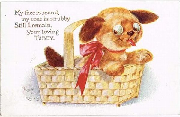 画像1: Postcard  Einco Tubby バスケットの中のタビー犬 1910年代 (1)