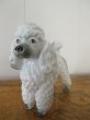 画像1: Vintage Poodle Figurine  プードル犬のフィギュリン　陶器 (1)