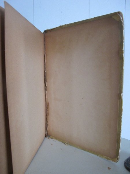 画像9: Vintage Book  洋書 不思議の国のアリス 1900年頃 (9)