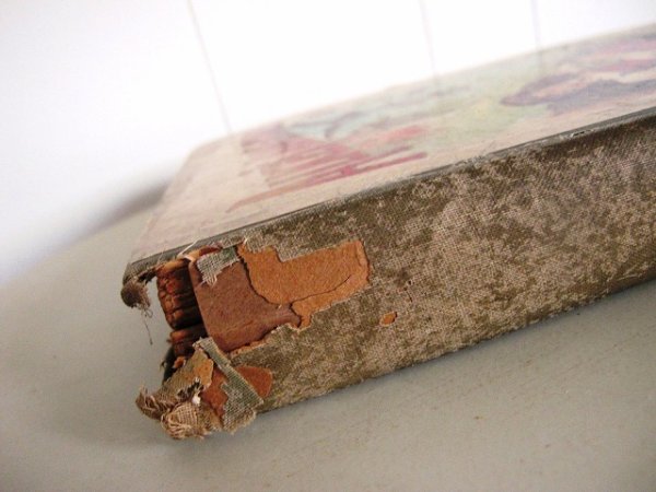 画像6: Vintage Book  洋書 不思議の国のアリス 1900年頃 (6)