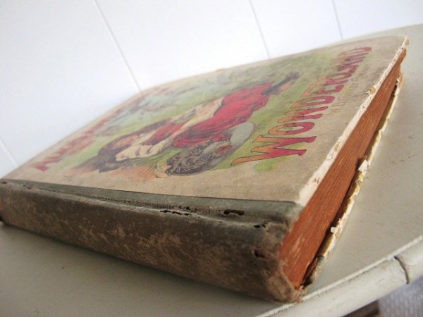 画像7: Vintage Book  洋書 不思議の国のアリス 1900年頃 (7)