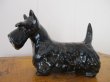 画像5: Vintage Terrier Dog Figure イギリス　スコティッシュ・テリア犬のフィギュア　陶器 (5)