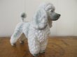 画像3: Vintage Poodle Figurine  プードル犬のフィギュリン　陶器 (3)