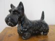 画像1: Vintage Terrier Dog Figure イギリス　スコティッシュ・テリア犬のフィギュア　陶器 (1)