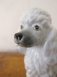 画像2: Vintage Poodle Figurine  プードル犬のフィギュリン　陶器 (2)