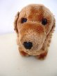 画像3: Vintage Stuffed Toy  アンティーク　古いぬいぐるみ　ダックスフンド犬 (3)