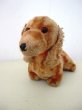 画像2: Vintage Stuffed Toy  アンティーク　古いぬいぐるみ　ダックスフンド犬 (2)