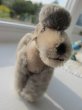 画像1: Vintage Stuffed Toy 　Steiff シュタイフ　小さなプードル犬　グレー (1)